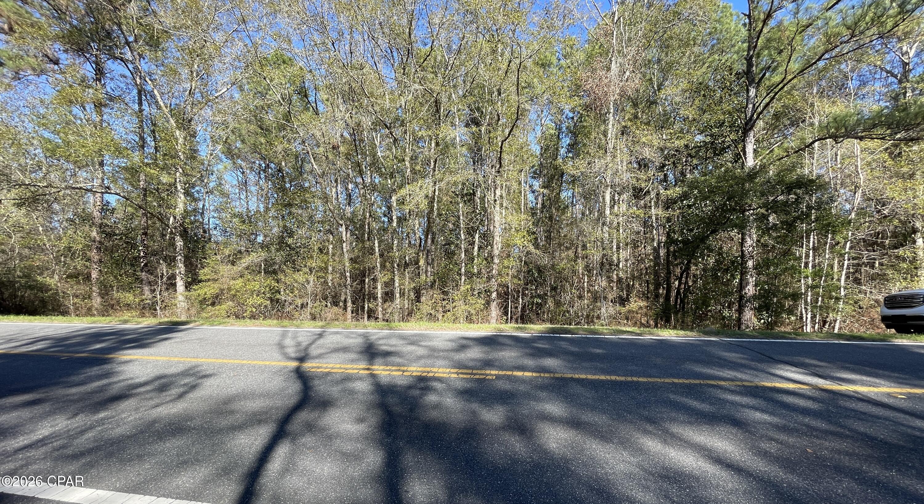 0 Jacob Main Street Cottondale, FL 32431 - Photo 3 of 6