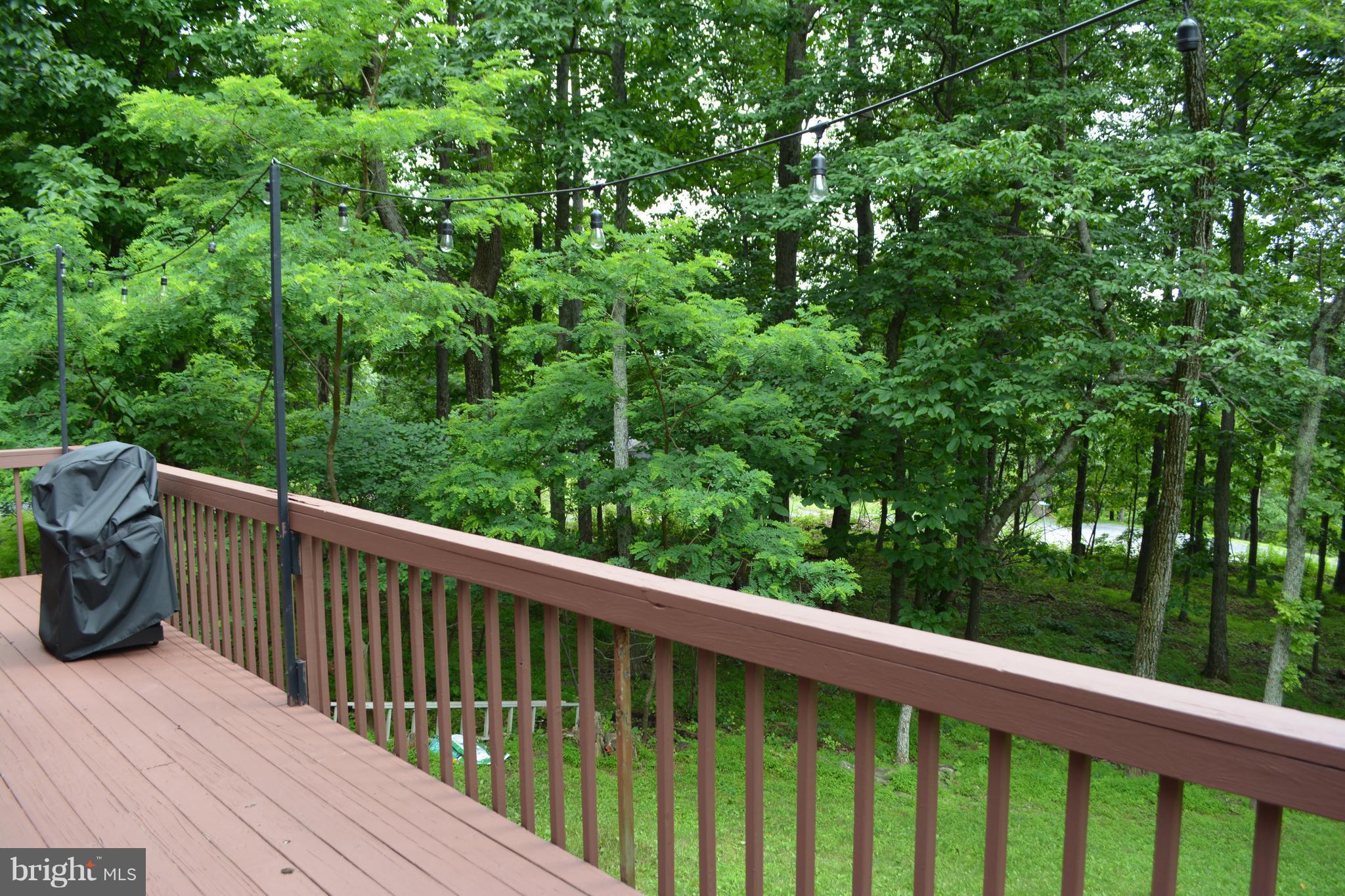 25 Mountain Top Road Front Royal, VA 22630 - Photo 24 of 30 Exterior (Rear)