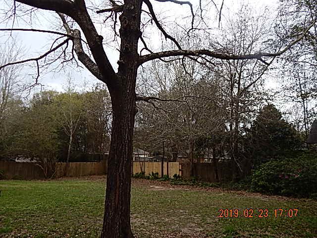 142 Robbins Boulevard Daphne, AL 36526 - Photo 15 of 39 Back Yard