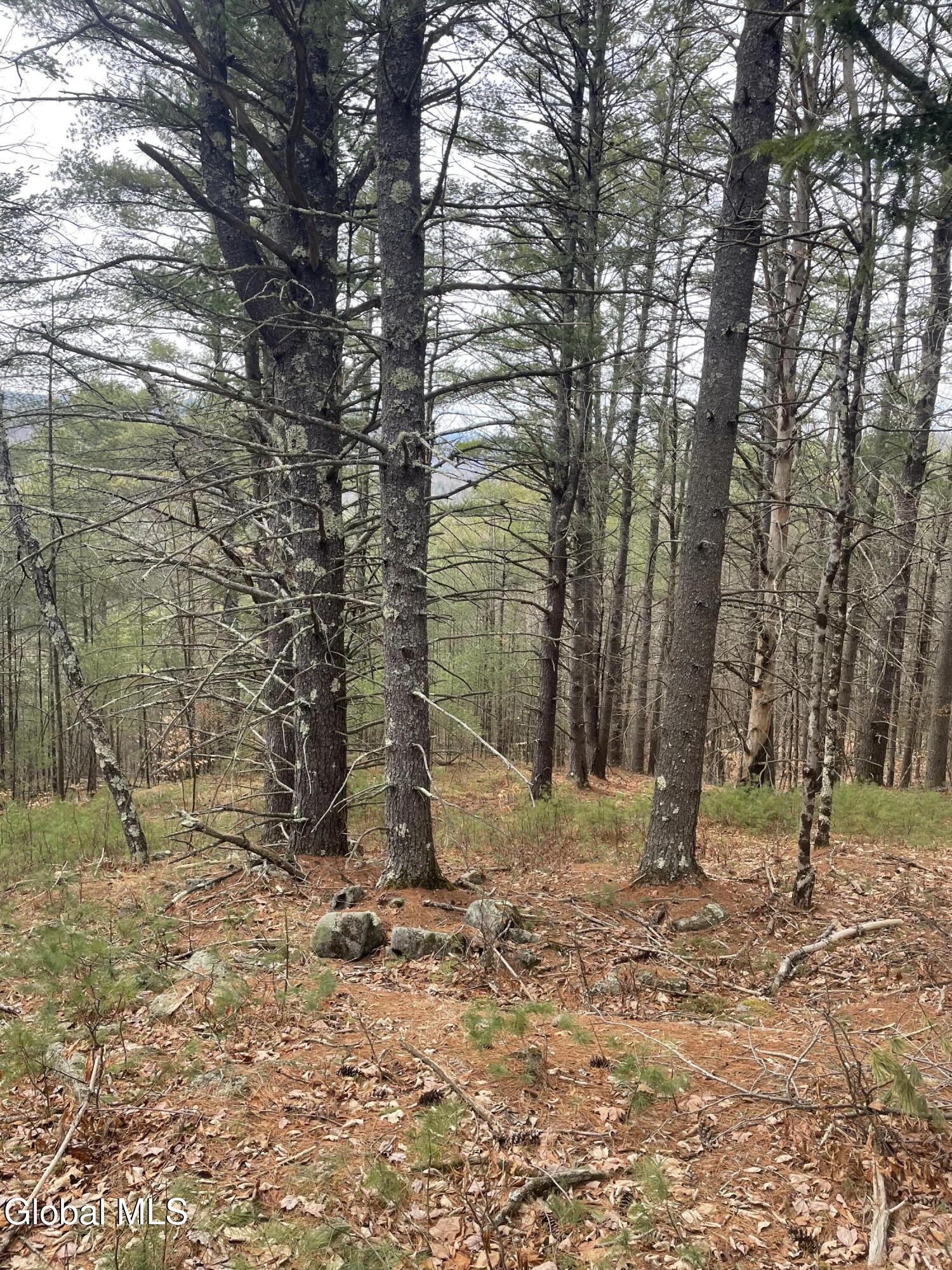 36 Fawn Ridge Road Chester, NY 12817 - Photo 2 of 3 IMG_2012