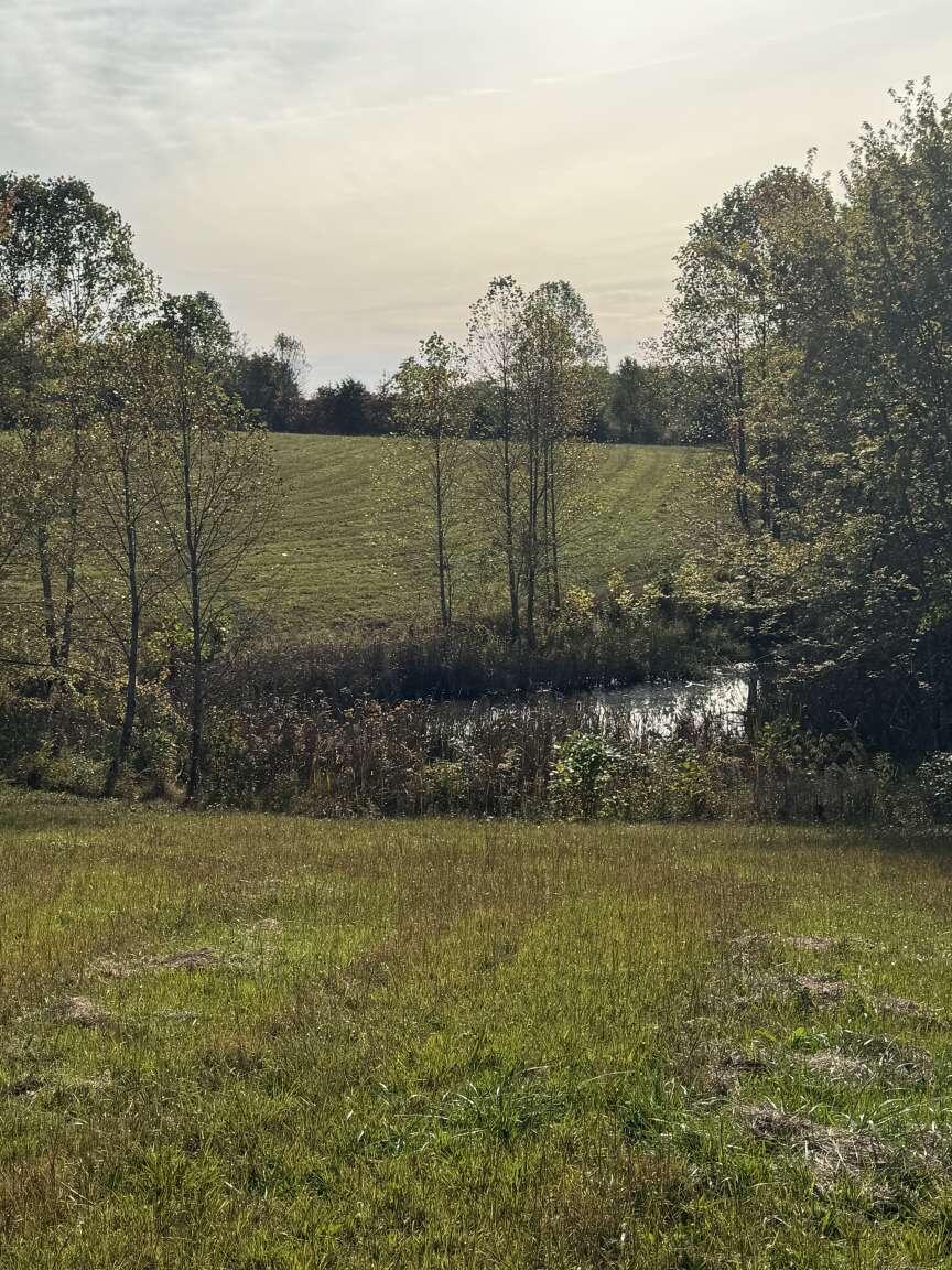 618 Button Knob Road Liberty, KY 42539 - Photo 2 of 10 Hoskins.2