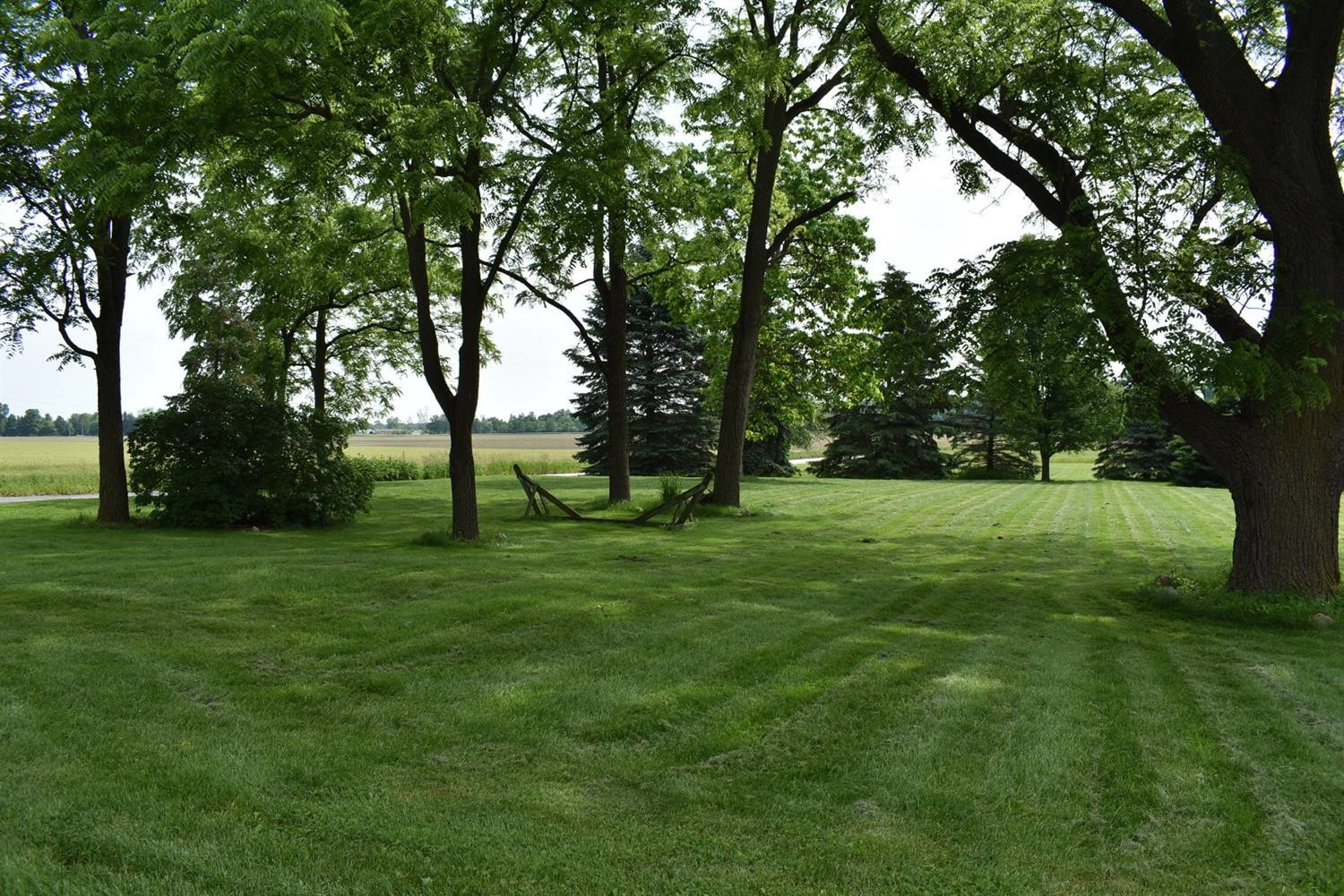 12009 South Maple Road Milan, MI 48160 - Photo 39 of 40 Photo 39