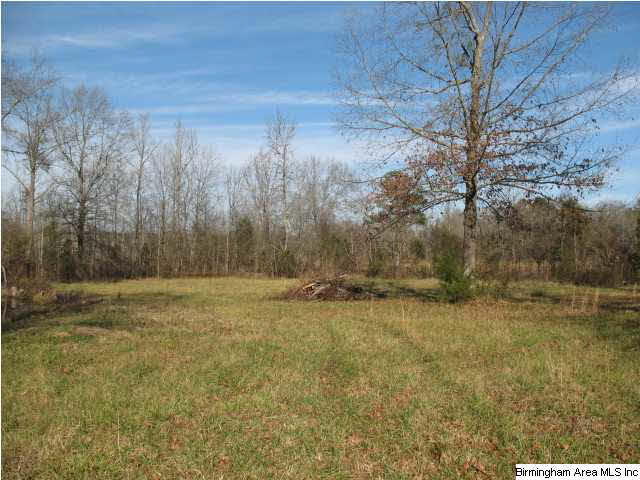 1736 Pine Dale Road Ashville, AL 35953 - Photo 19 of 19