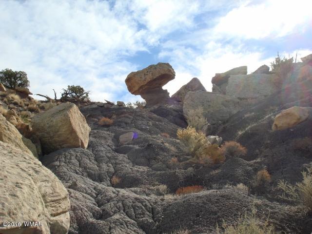 Lot 79 Pinon Valley Ranch, Unit 2 Concho, AZ 85924 - Photo 1 of 16