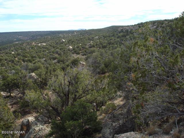 Lot 79 Pinon Valley Ranch, Unit 2 Concho, AZ 85924 - Photo 11 of 16