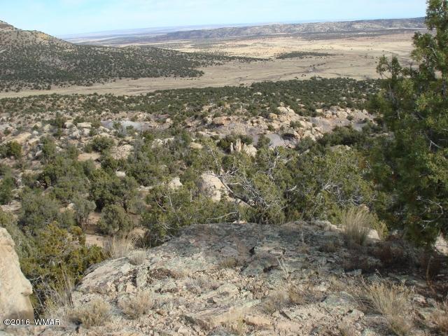 Lot 79 Pinon Valley Ranch, Unit 2 Concho, AZ 85924 - Photo 12 of 16