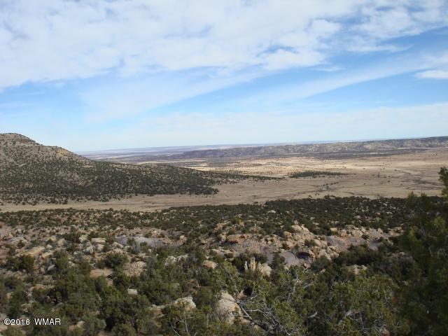 Lot 79 Pinon Valley Ranch, Unit 2 Concho, AZ 85924 - Photo 13 of 16