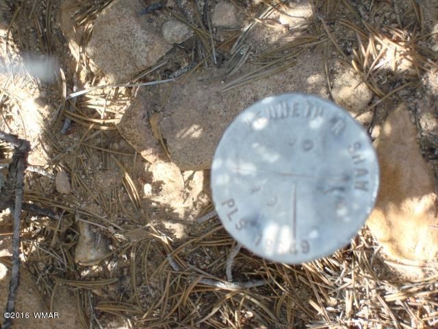 Lot 79 Pinon Valley Ranch, Unit 2 Concho, AZ 85924 - Photo 16 of 16