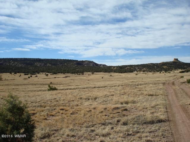 Lot 79 Pinon Valley Ranch, Unit 2 Concho, AZ 85924 - Photo 2 of 16