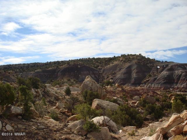 Lot 79 Pinon Valley Ranch, Unit 2 Concho, AZ 85924 - Photo 3 of 16