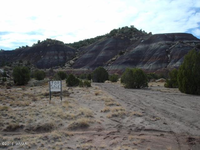 Lot 79 Pinon Valley Ranch, Unit 2 Concho, AZ 85924 - Photo 4 of 16