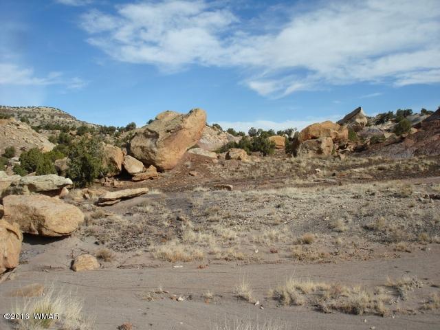 Lot 79 Pinon Valley Ranch, Unit 2 Concho, AZ 85924 - Photo 5 of 16