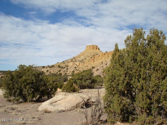 Lot 79 Pinon Valley Ranch, Unit 2 Concho, AZ 85924 - Photo 6 of 16