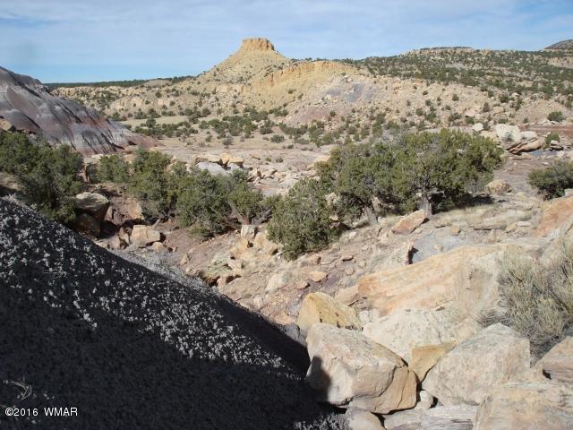 Lot 79 Pinon Valley Ranch, Unit 2 Concho, AZ 85924 - Photo 7 of 16