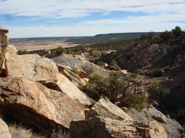 Lot 79 Pinon Valley Ranch, Unit 2 Concho, AZ 85924 - Photo 8 of 16