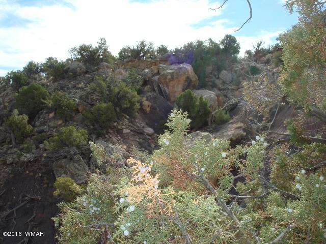 Lot 79 Pinon Valley Ranch, Unit 2 Concho, AZ 85924 - Photo 9 of 16
