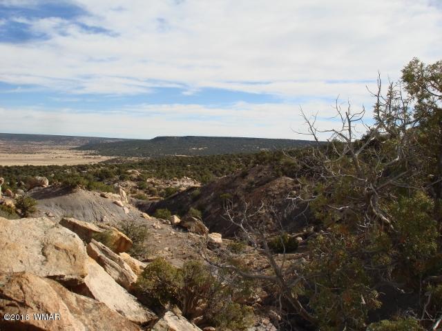 Lot 79 Pinon Valley Ranch, Unit 2 Concho, AZ 85924 - Photo 10 of 16