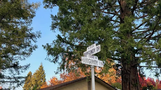 a view of street with parked cars