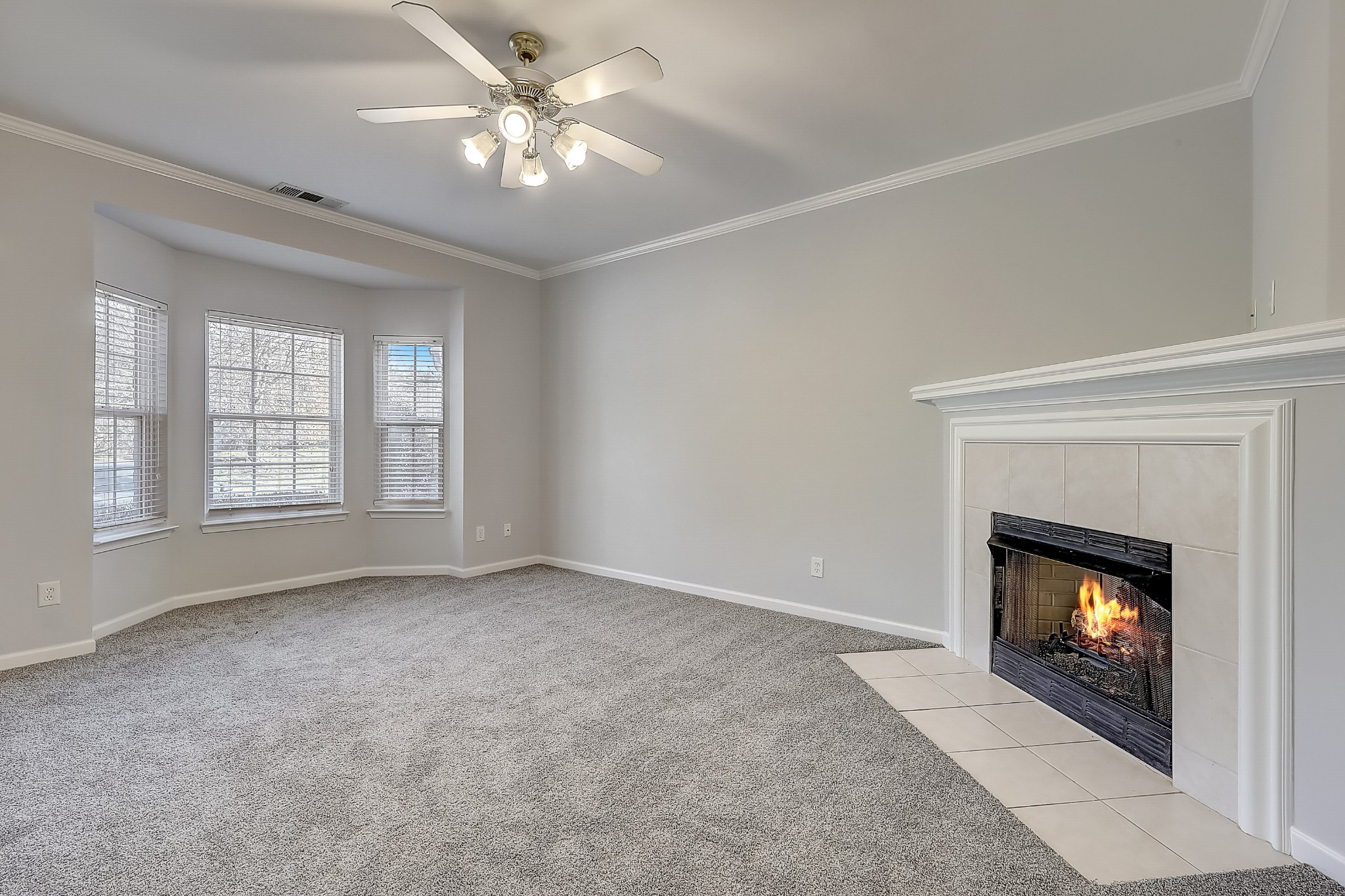 1101 Downs Boulevard, Unit 80 Franklin, TN 37064 - Photo 5 of 19 an empty room with windows and fireplace