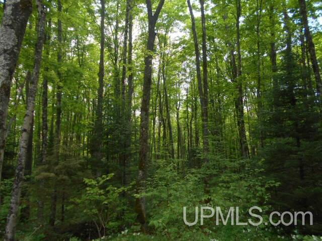 Tbd Palmquist Road Florence, WI 54120 - Photo 5 of 5