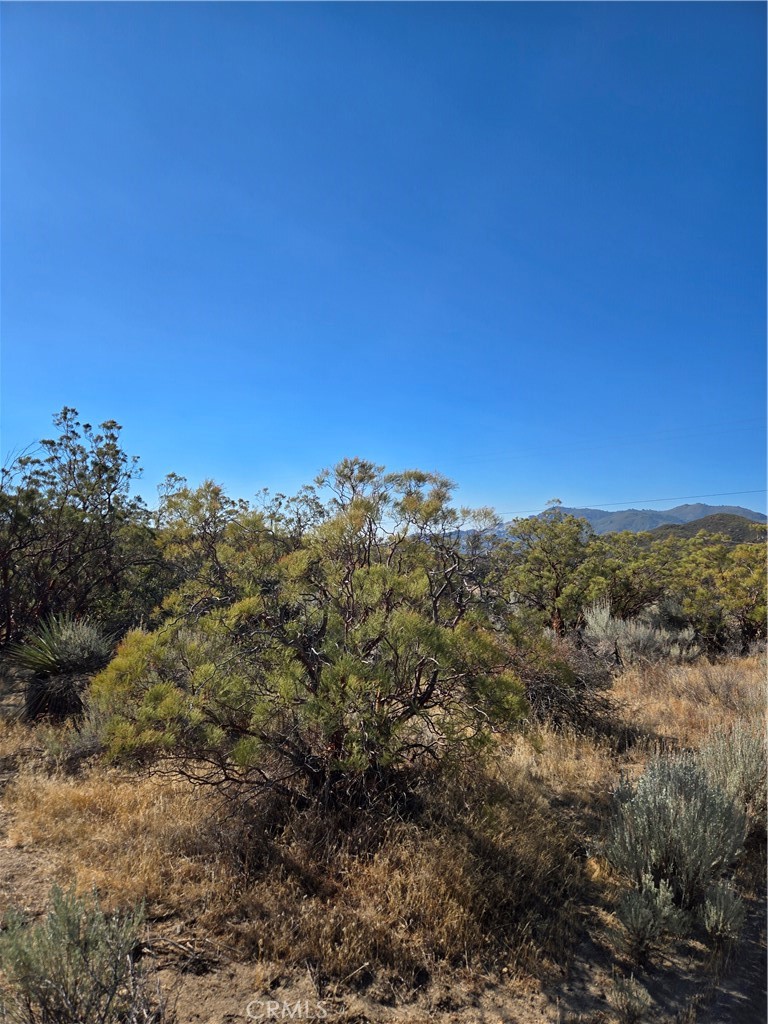 0 Howard Road Anza, CA 92539 - Photo 13 of 24