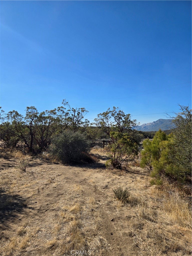 0 Howard Road Anza, CA 92539 - Photo 15 of 24