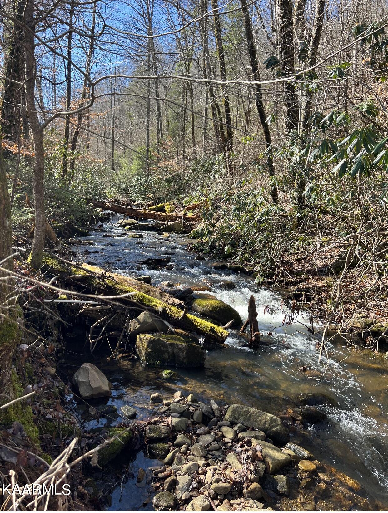 Carson Springs Road Newport, TN 37821 - Photo 2 of 6 CSpring