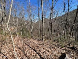 Carson Springs Road Newport, TN 37821 - Photo 4 of 6 IMG_0704