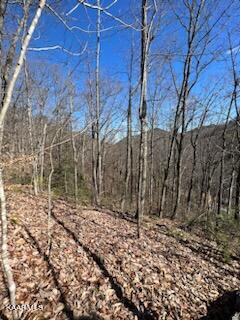 Carson Springs Road Newport, TN 37821 - Photo 5 of 6 IMG_0705