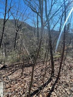 Carson Springs Road Newport, TN 37821 - Photo 6 of 6 IMG_0706