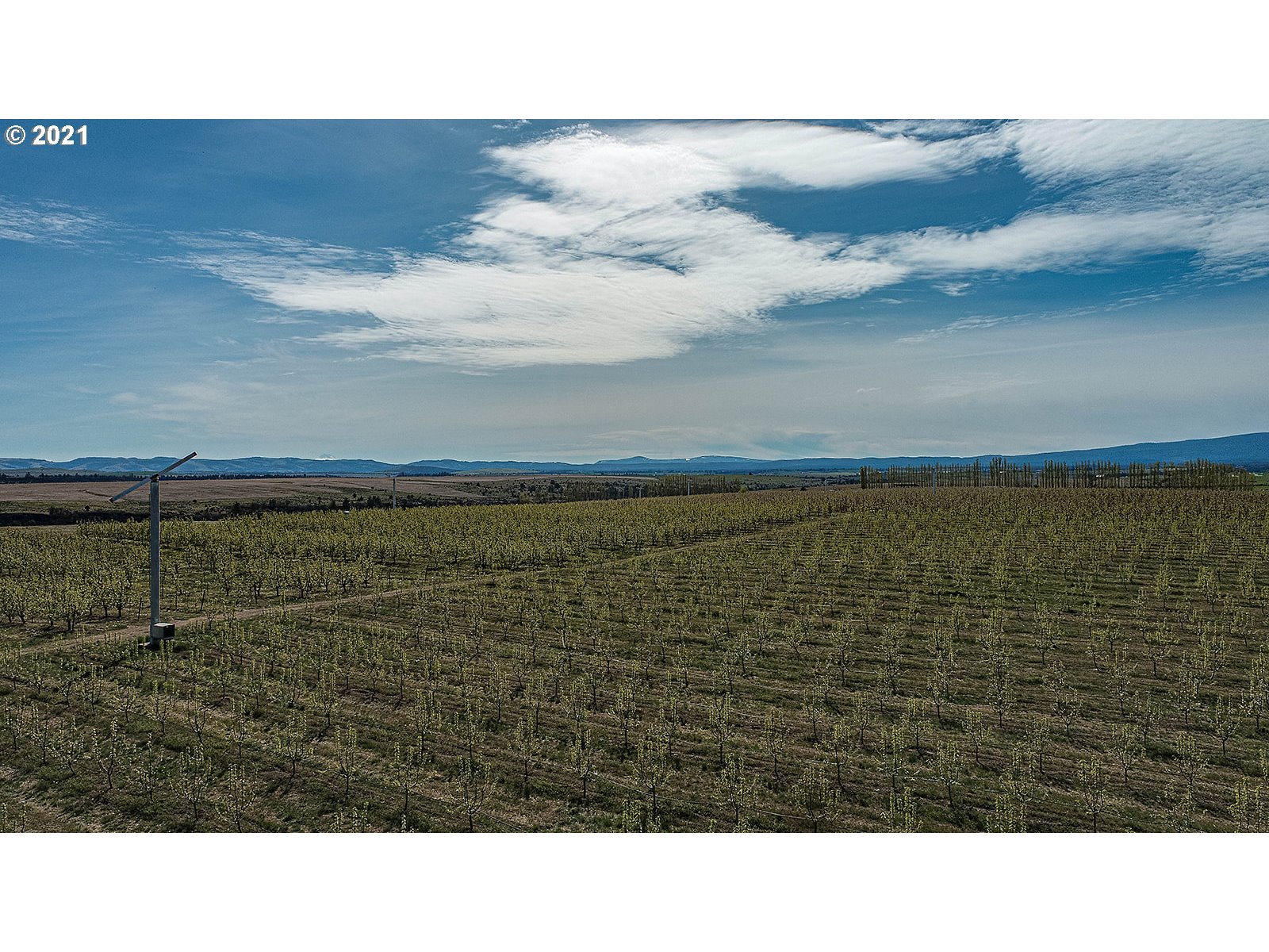 82088 Wamic Market Road Tygh Valley, OR 97063 - Photo 20 of 28 Gallery Image 20