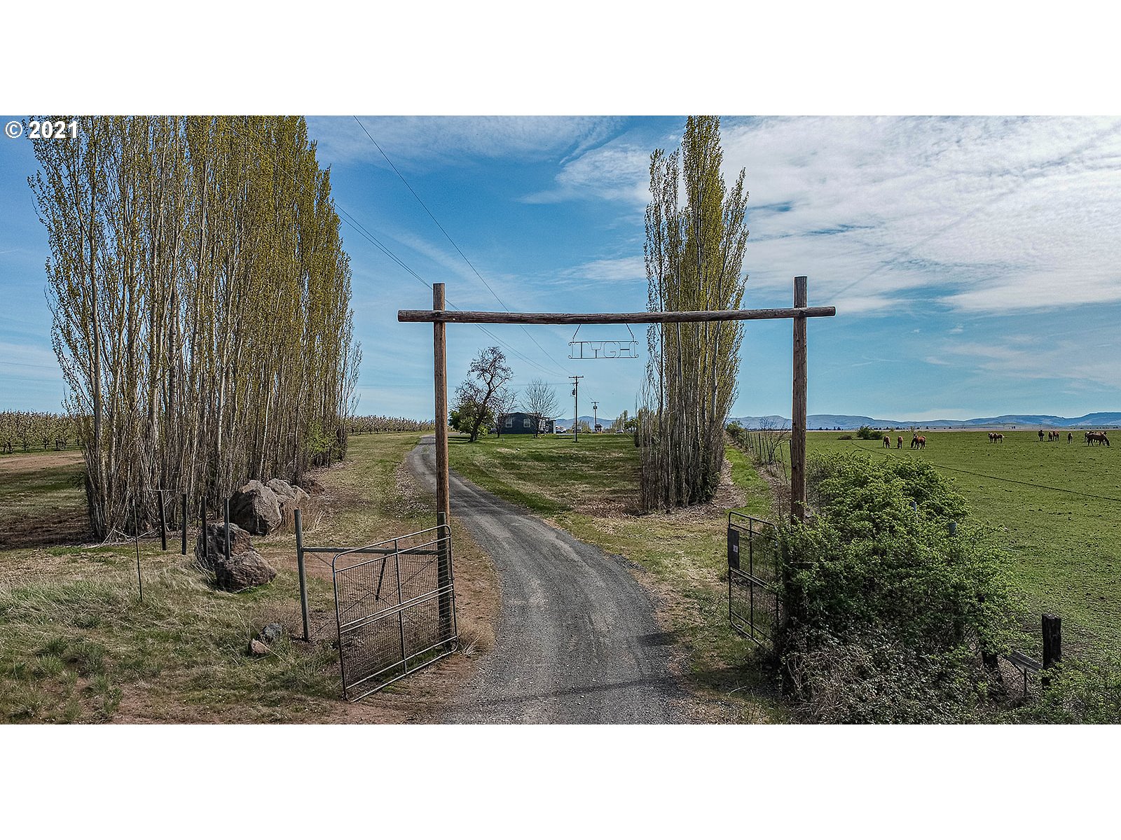 82088 Wamic Market Road Tygh Valley, OR 97063 - Photo 4 of 28 Gallery Image 4