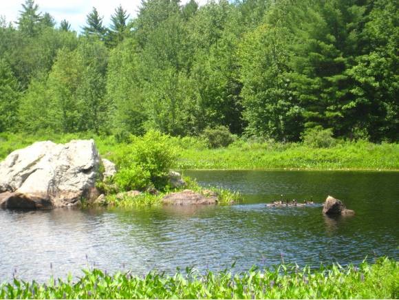 798 Berry River Road Barrington, NH 03825 - Photo 1 of 24