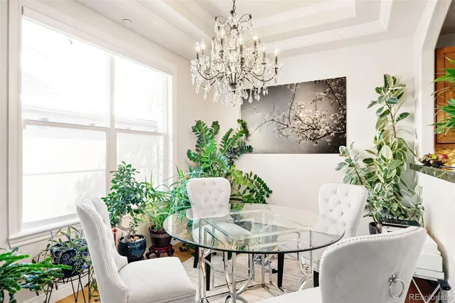 a view of a dining room with furniture a potted plant and a chandelier