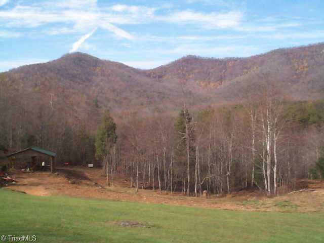 1208 Old Lowgap Road Lowgap, NC 27024 - Photo 2 of 8 Other. View of Mountains