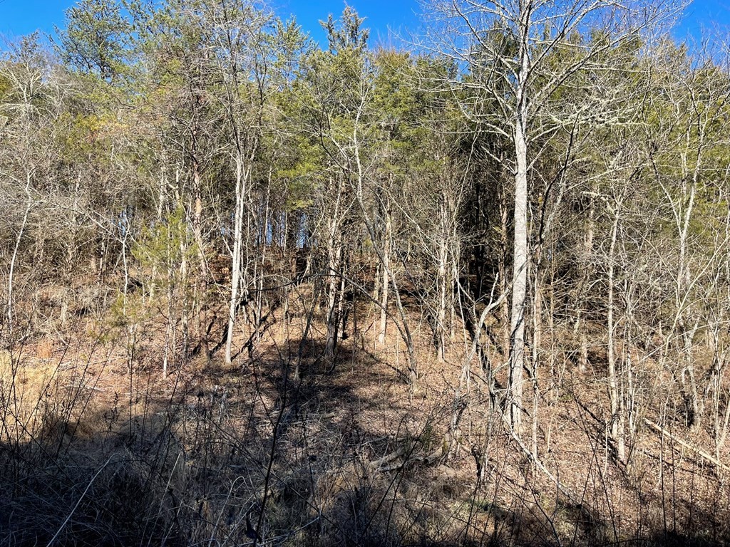 0 Sims Road Sevierville, TN 37876 - Photo 17 of 22