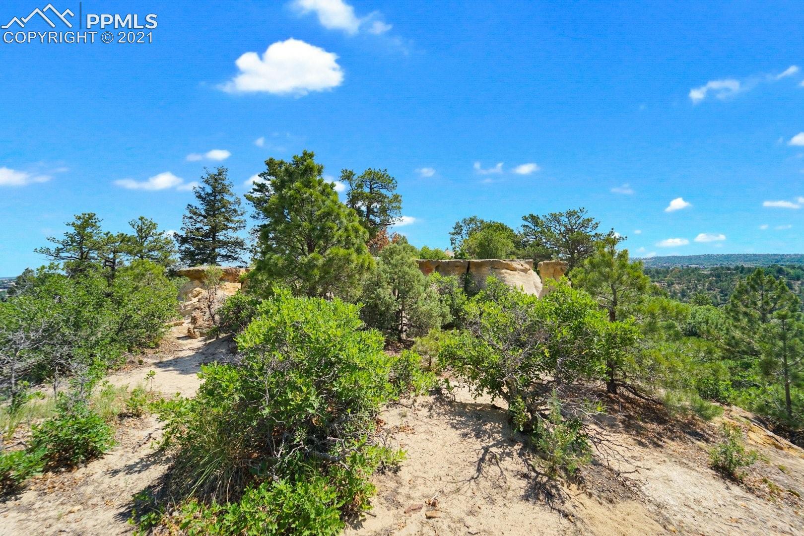 4295 Ridgecrest Drive Colorado Springs, CO 80918 - Photo 13 of 24 Gallery Image 13
