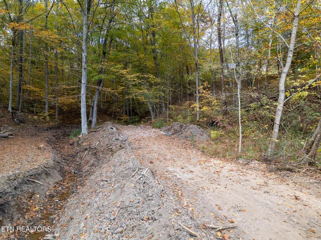 $179,900 | Lot 2 West Bullrun Valley Drive, Heiskell, TN 37754