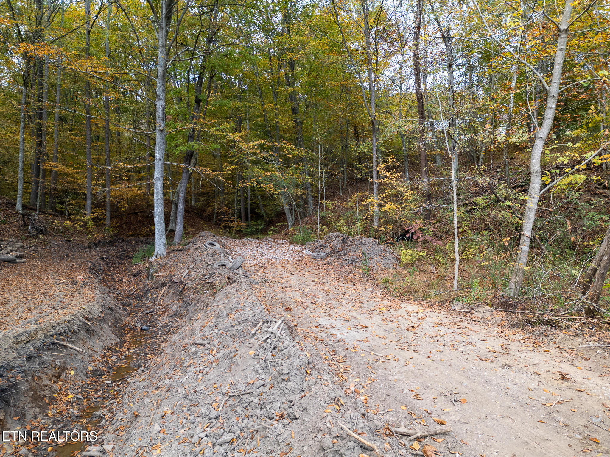 Lot 2 West Bullrun Valley Drive Heiskell, TN 37754 - Photo 5 of 12 Lot 2 W Bullrun Valley Dr-03