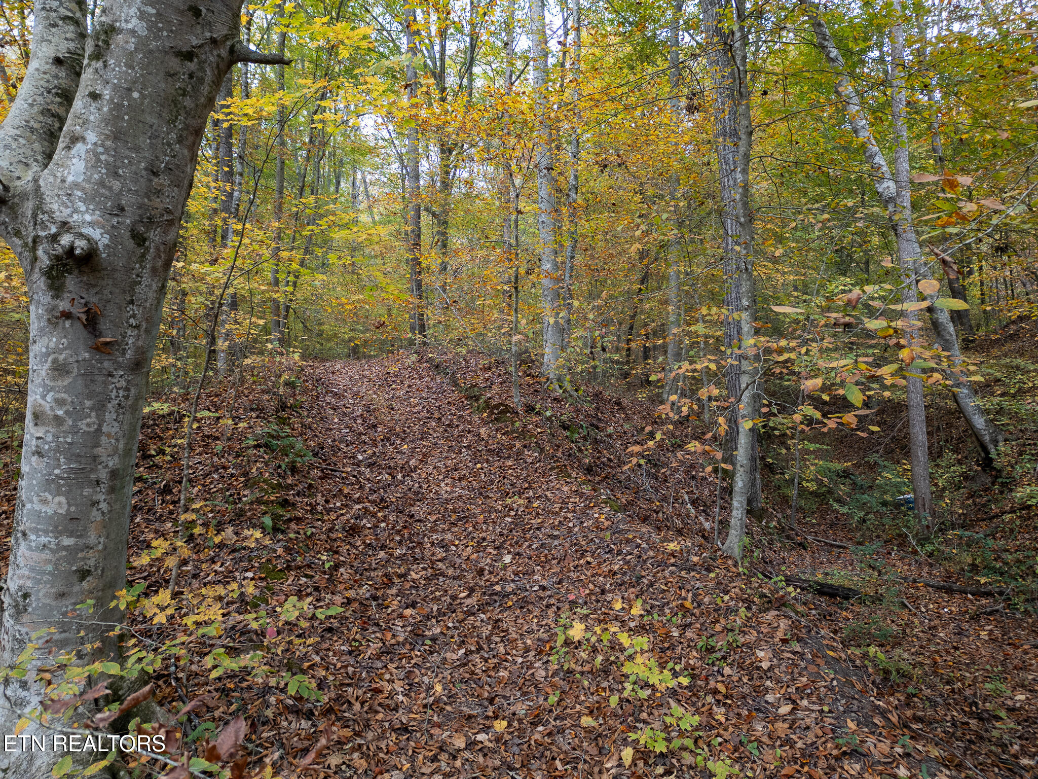 Lot 2 West Bullrun Valley Drive Heiskell, TN 37754 - Photo 6 of 12 Lot 2 W Bullrun Valley Dr-04