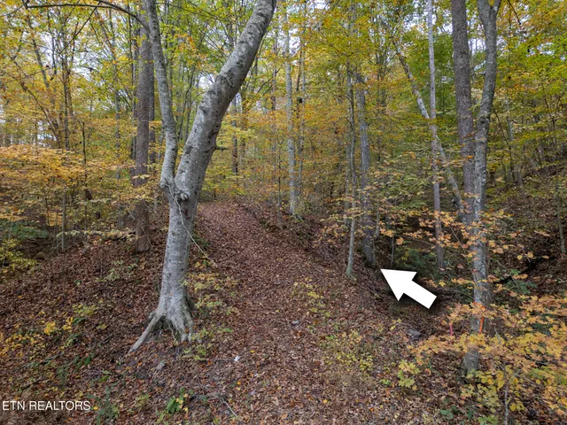 $179,900 | Lot 2 West Bullrun Valley Drive, Heiskell, TN 37754