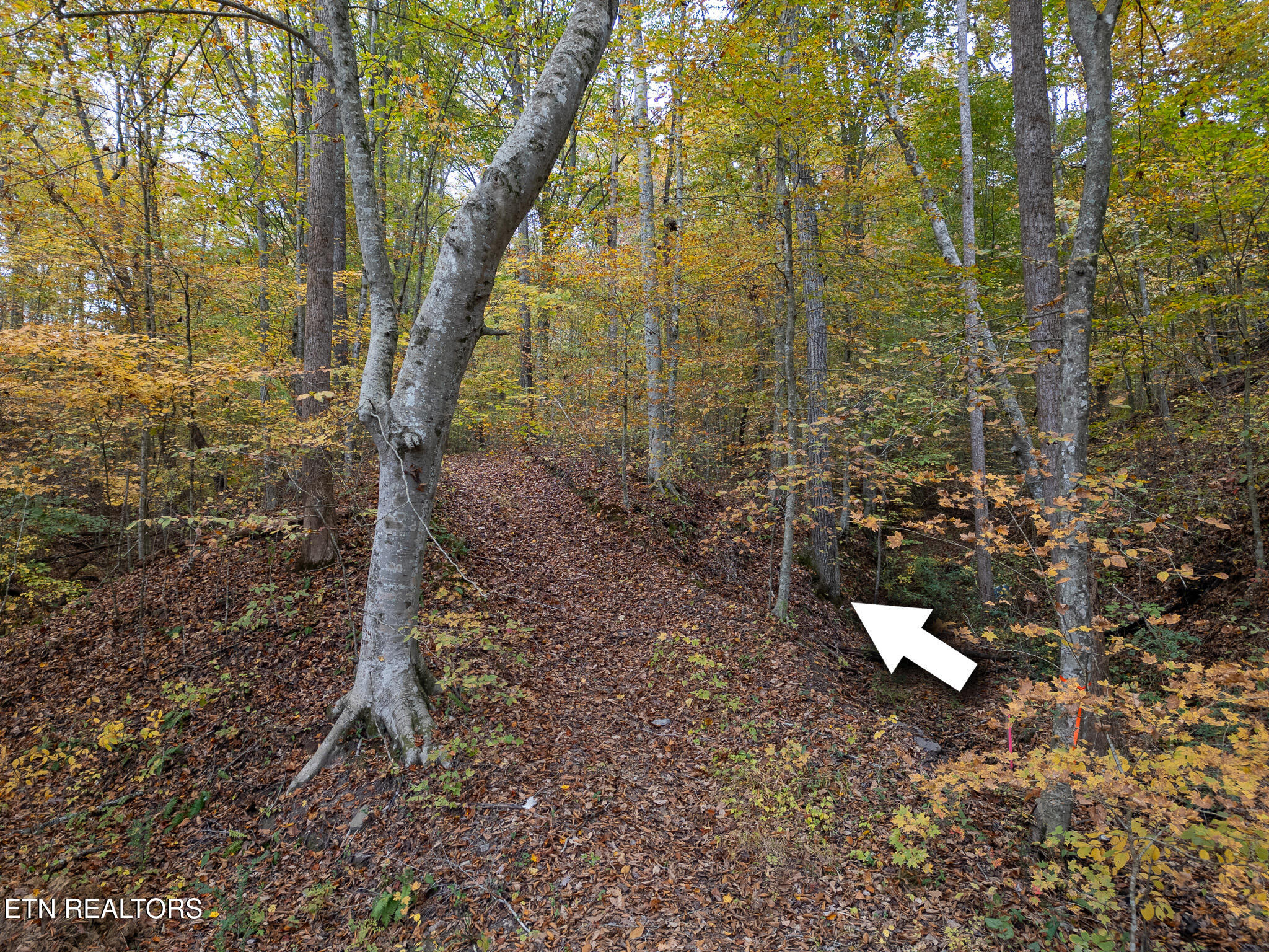 Lot 2 West Bullrun Valley Drive Heiskell, TN 37754 - Photo 7 of 12 Lot 2 W Bullrun Valley Dr-05