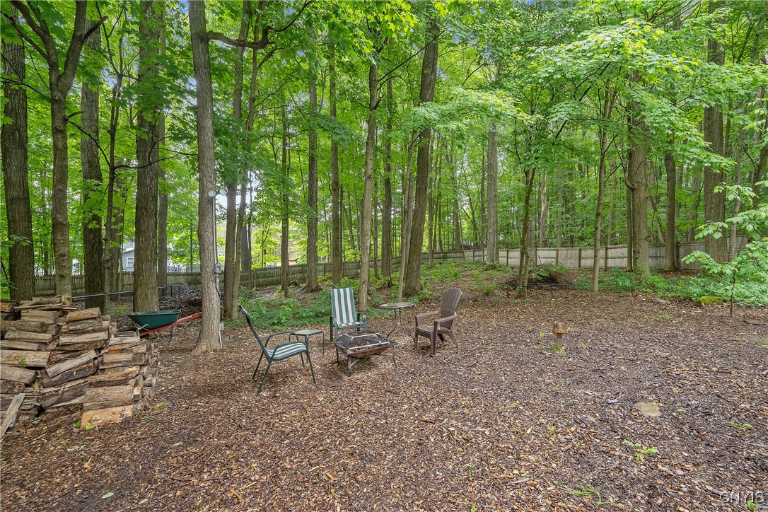 223 Windcrest Drive Camillus, NY 13031 - Photo 5 of 45 Back Yard