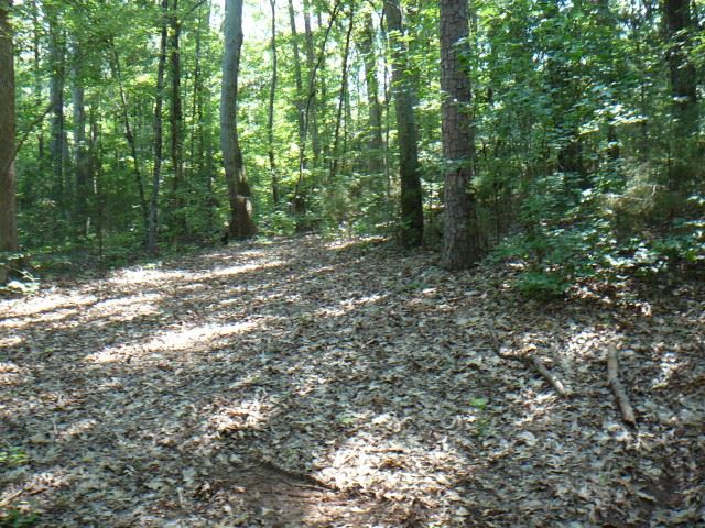 12 P Cromer Road Abbeville, SC 29620 - Photo 5 of 5 Gallery Image 5