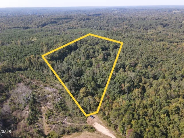 a view of a dry yard with large trees