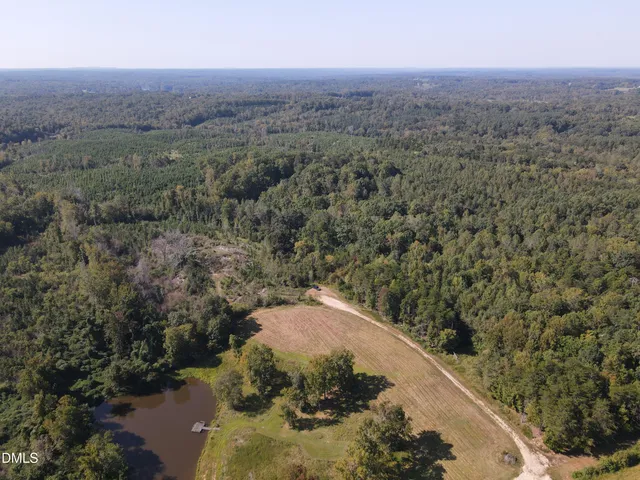 an aerial view of a house with a yard and large trees