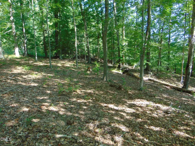 a view of outdoor space with trees all around