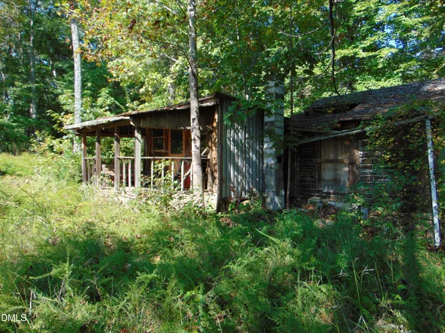 a backyard of a house with plants and tree