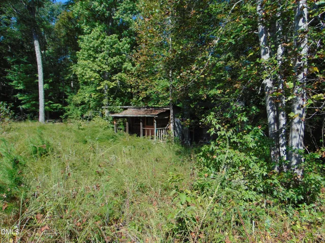 a view of a lush green forest