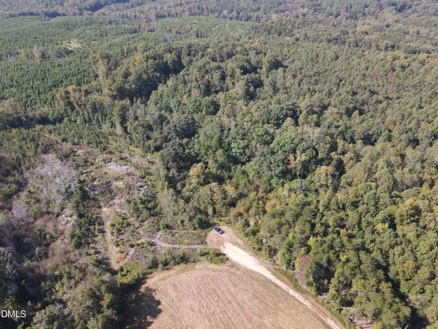 a view of a yard with a dry yard
